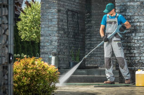 Best Vinyl Siding Pressure Washing in Carthage, MO