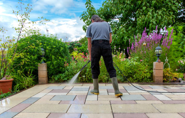 Best Sidewalk and Walkway Pressure Cleaning in Carthage, MO