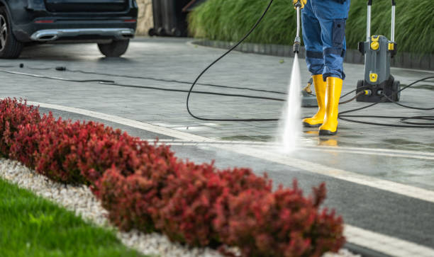 Best Fence Cleaning and Maintenance in Carthage, MO